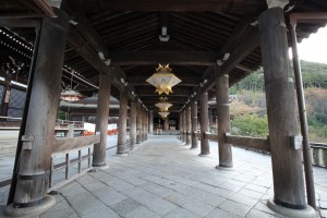 IMG_3407