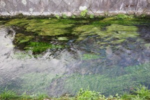 IMG_3537