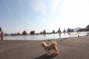 IMG_9323