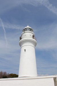 IMG_9361