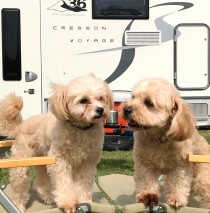 8492A3F4-5EB5-4F1B-B390-2DDE123DA34D (2)