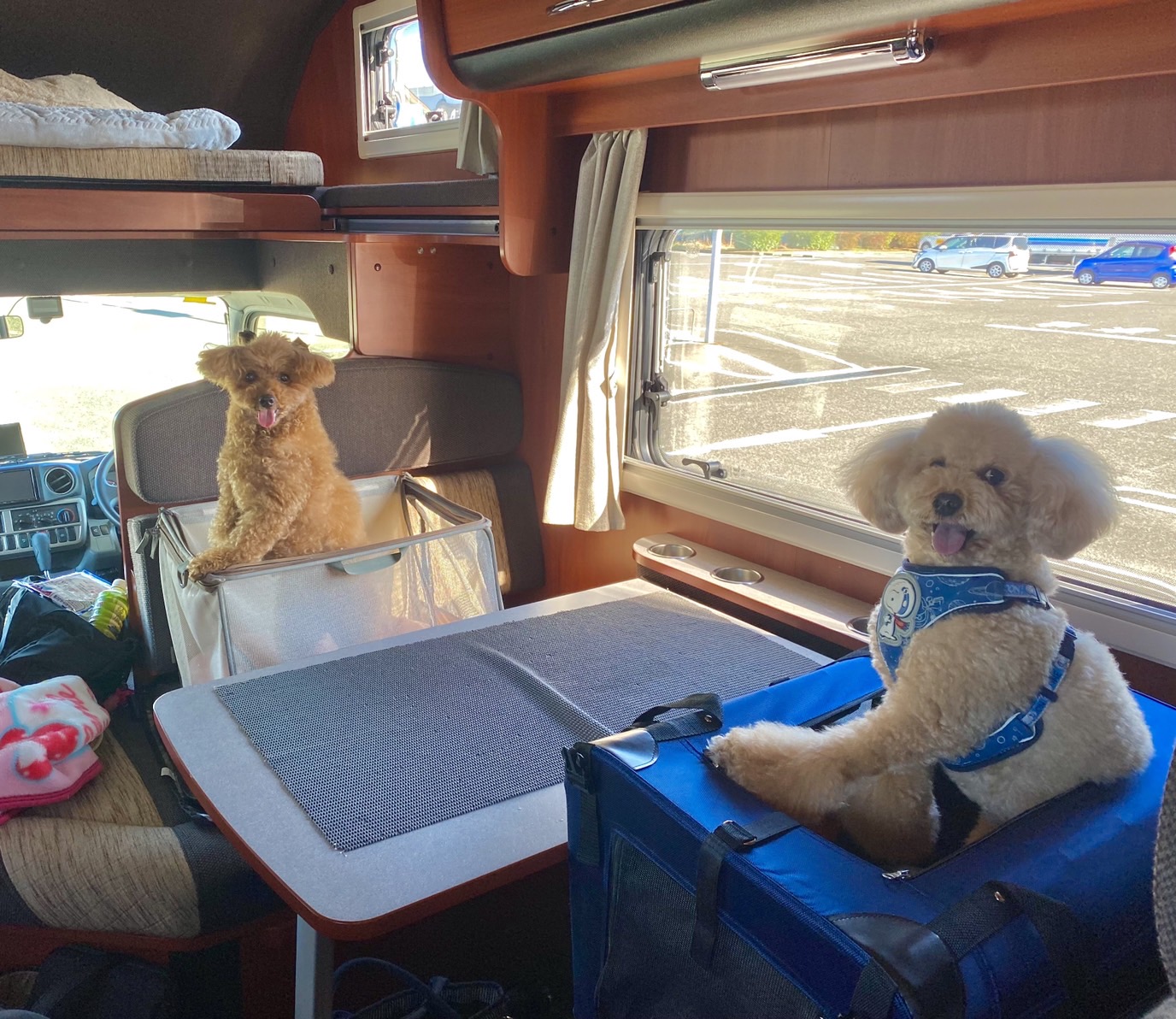 q5CaN3QkkkwIljZu8AIhbCG3-c3CYCNiy5BEYlkNLbnaVBbjcCIgSbXaBf__udGusEj4TvayG2KJGBqxEWR86IBYplPHdLh37JmgK3BDIrYAhpF331QyQ2NU2gFvxeav