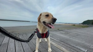 line_oa_chat_240617_152840