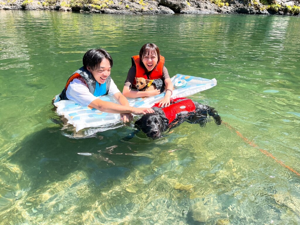 ZrmeNcgcsTr4kROUcdPizhxYw7EKJws2W_EpSIu1pPGpXZdA5GsDmrTY0Wc12TU1hHaPacms6Tx7j86T0tDHV3Ah5IS_hHeNxksBCQW341tTUnzr_CKrAx5Orv9dlxVLkCPUNF5rJUTpUxwFl42Qjw==