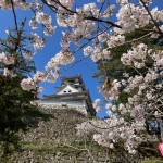 LINE_ALBUM_植山さん旅行_250413_9