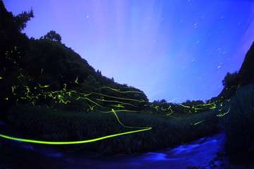240_F_30288357_t42LdEC9Pp3SBEZ5muAXZvHNel3xln3V