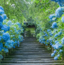 240_F_341709683_ttCE6AUmN6Jk33ieOcsXTkHfHfdqycYi