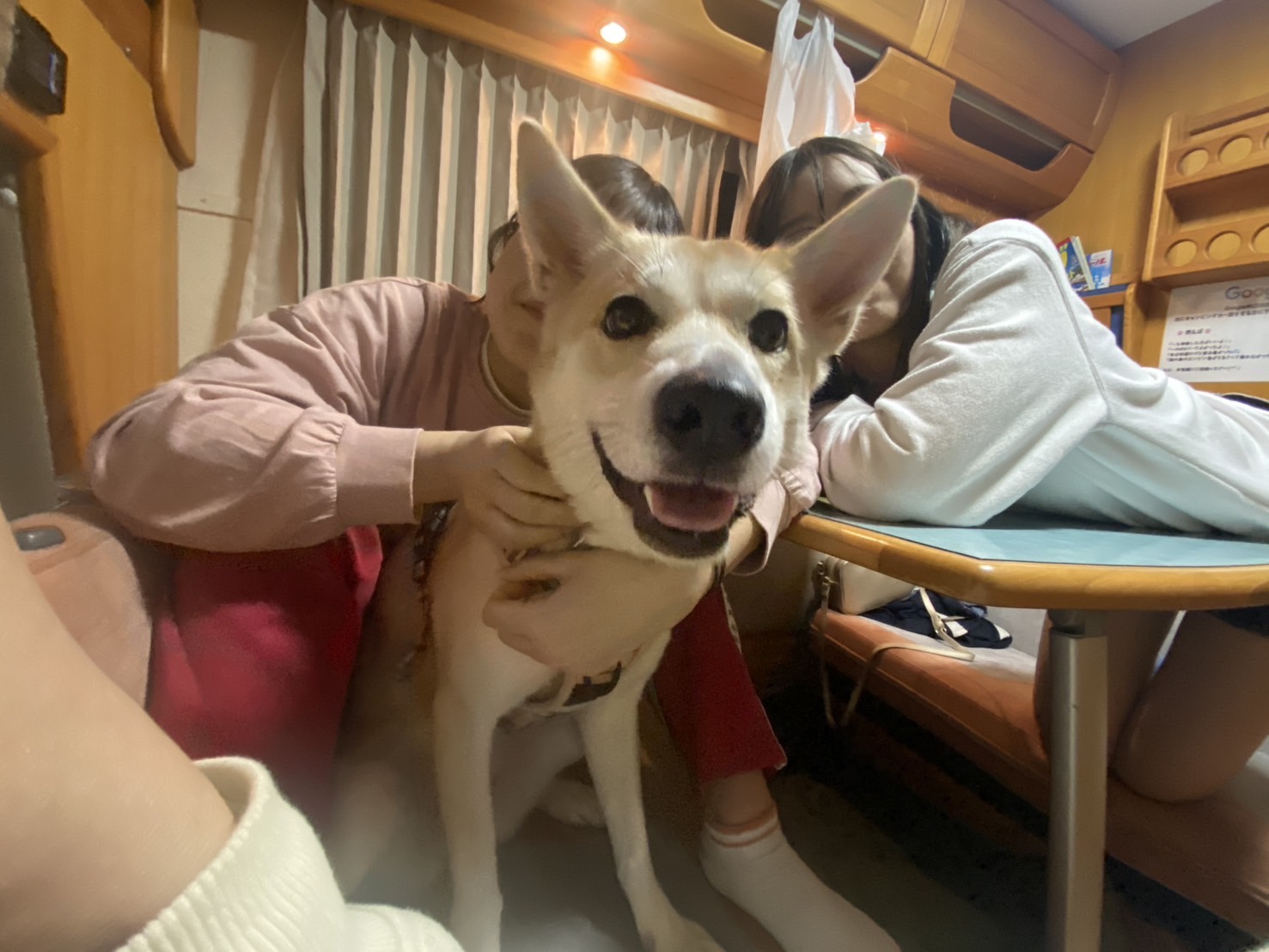 ペットと一緒にキャンピングカー旅