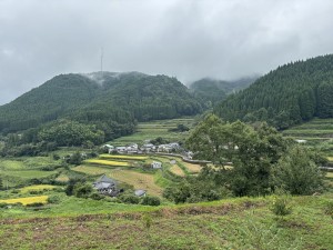S__32858129